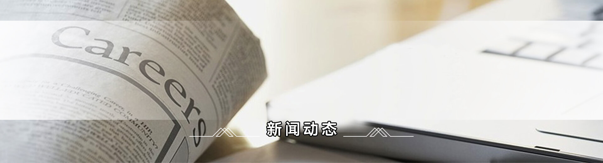 新闻动态