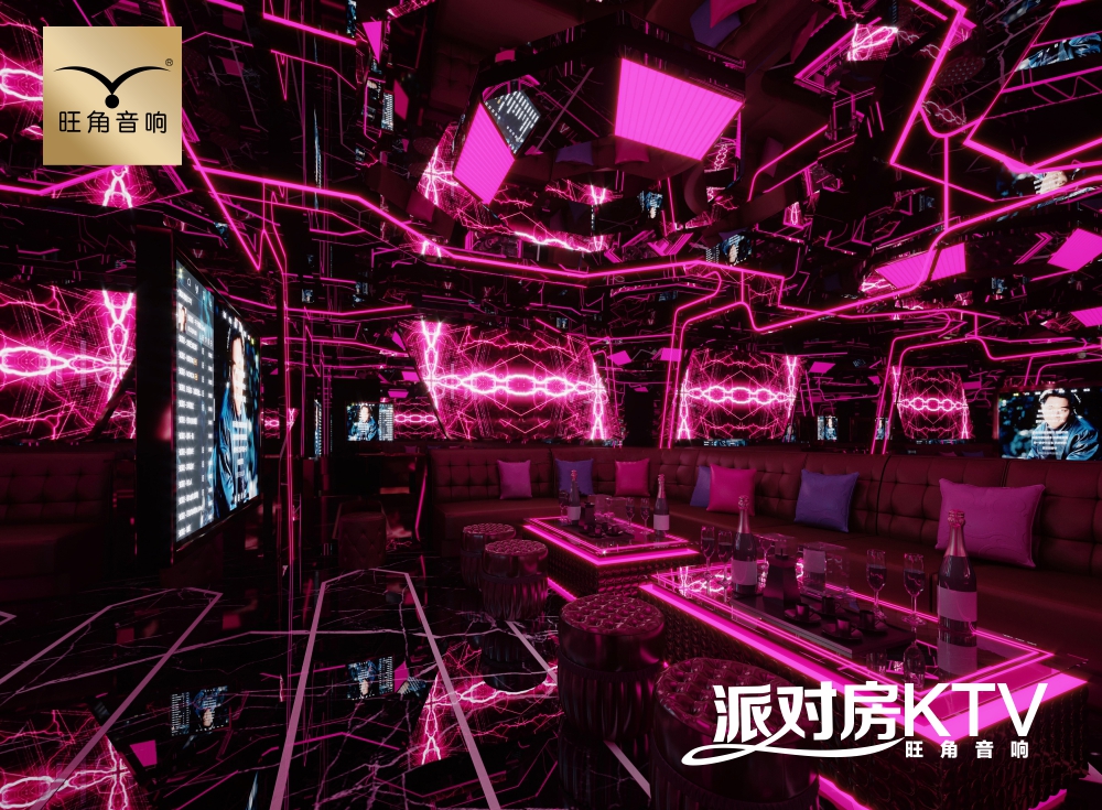 郑州许昌“星辉”KTV派对房音响工程