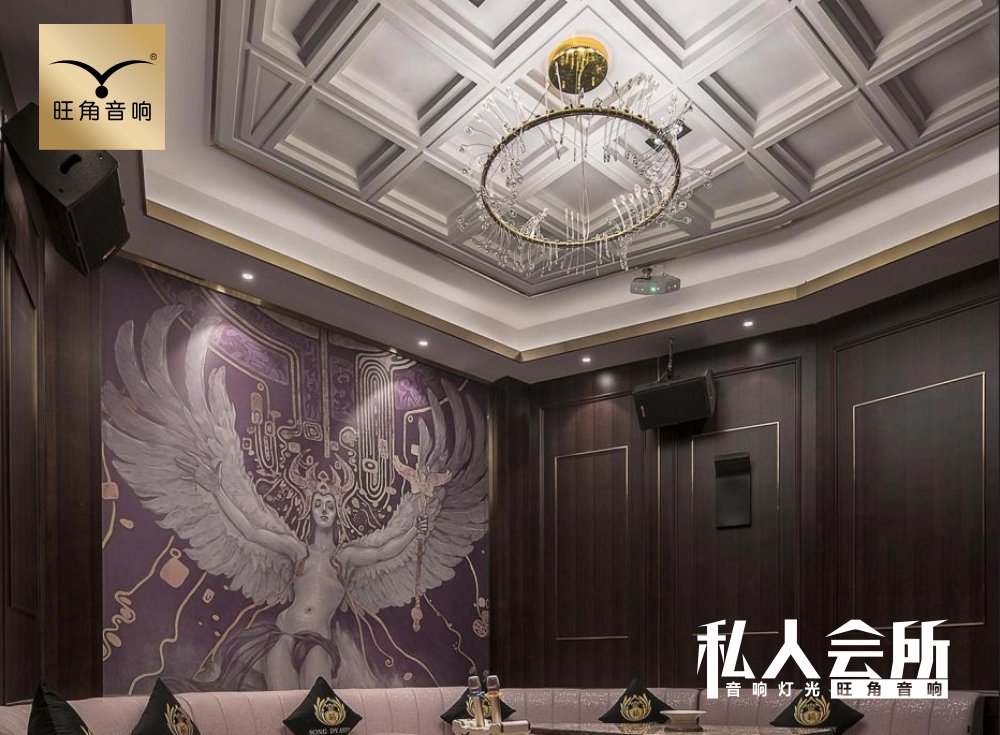 云南曲靖市沾益区私人会所灯光音响工程