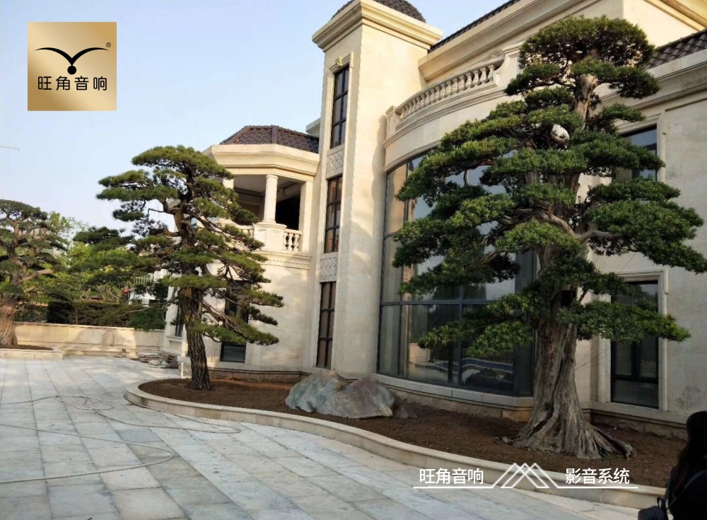 东莞虎门“丰泰华园山庄别墅”家庭影院