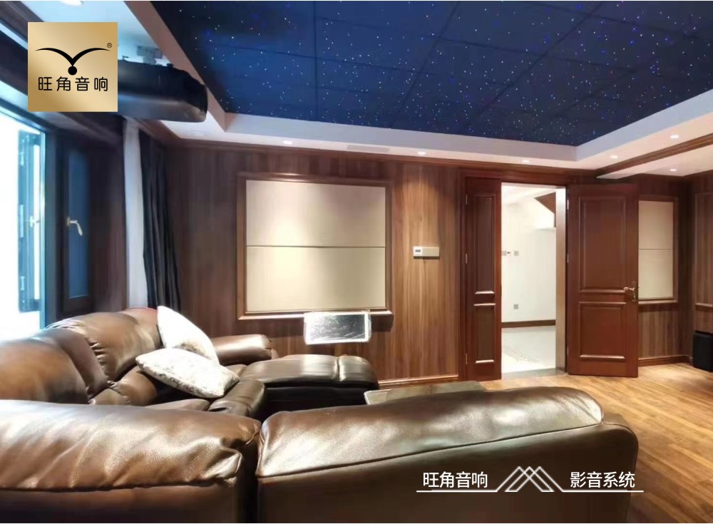 广东佛山“康格斯”家庭影院系统